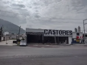 paqueteria castores atlacomulco