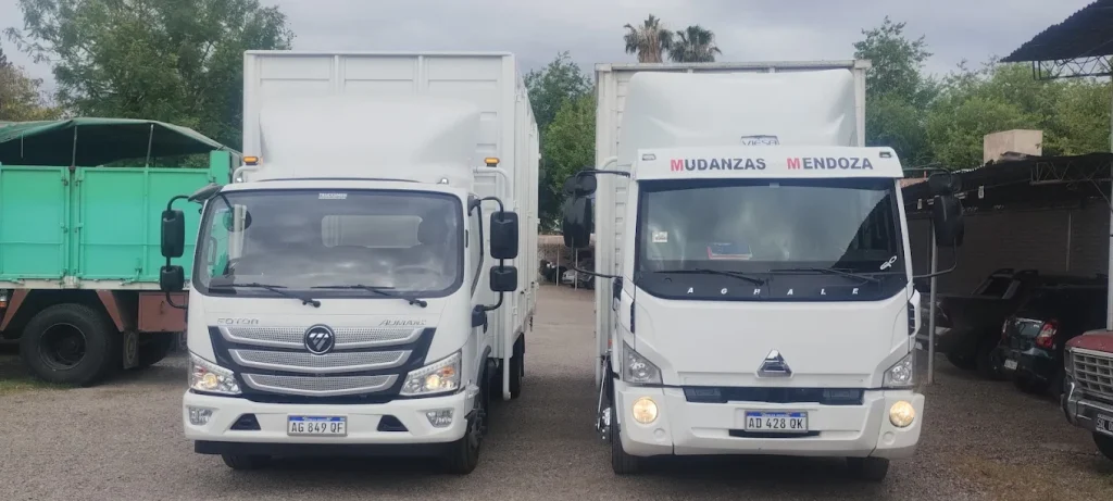 mudanzas en reynosa
