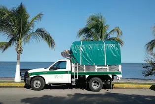 mudanzas economicas cerca de mi en tuxtla