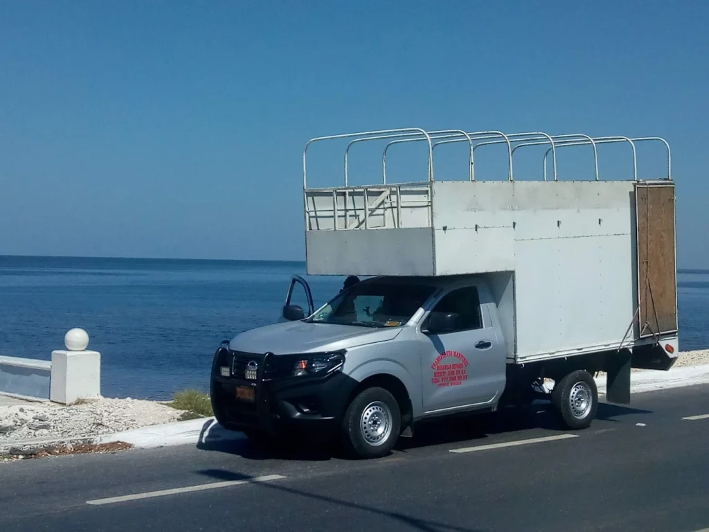 camion grande para mudanza cerca de mi jiutepec