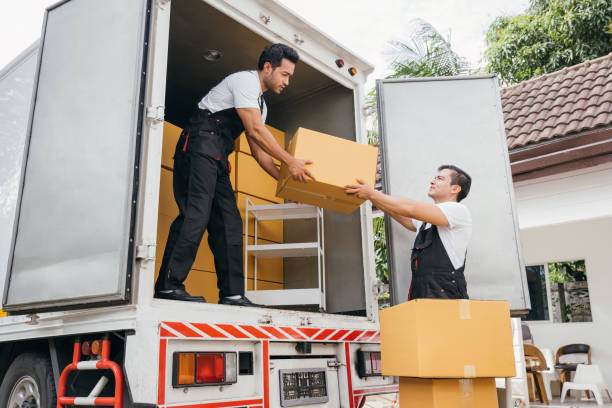 servicio profesional de carga en cdmx